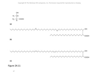 Copyright © The McGraw-Hill companies, Inc. Permission required for reproduction or display.
47
Figure 24.11
 