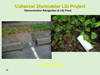 First Rain Storm Cohasset Stormwater LID Project Demonstration Raingarden at Lily Pond 