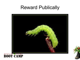 Reward Publically 