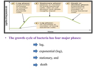 • The growth cycle of bacteria has four major phases:
lag,
exponential (log),
stationary, and
death
 