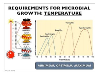 Microbial Growth