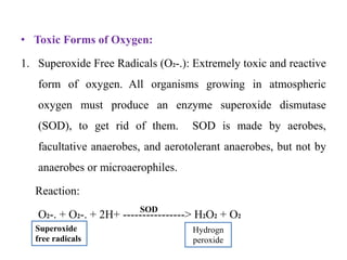 • Toxic Forms of Oxygen:
1. Superoxide Free Radicals (O2-.): Extremely toxic and reactive
form of oxygen. All organisms growing in atmospheric
oxygen must produce an enzyme superoxide dismutase
(SOD), to get rid of them. SOD is made by aerobes,
facultative anaerobes, and aerotolerant anaerobes, but not by
anaerobes or microaerophiles.
Reaction:
O2-. + O2-. + 2H+ ----------------> H2O2 + O2
SOD
Superoxide
free radicals
Hydrogn
peroxide
 