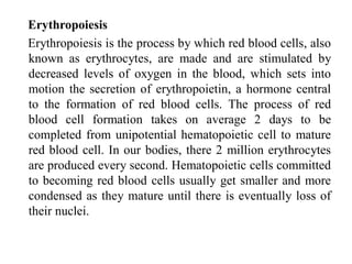 Erythropoiesis
Erythropoiesis is the process by which red blood cells, also
known as erythrocytes, are made and are stimulated by
decreased levels of oxygen in the blood, which sets into
motion the secretion of erythropoietin, a hormone central
to the formation of red blood cells. The process of red
blood cell formation takes on average 2 days to be
completed from unipotential hematopoietic cell to mature
red blood cell. In our bodies, there 2 million erythrocytes
are produced every second. Hematopoietic cells committed
to becoming red blood cells usually get smaller and more
condensed as they mature until there is eventually loss of
their nuclei.
 