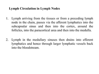 Lymph Circulation in Lymph Nodes
1. Lymph arriving from the tissues or from a preceding lymph
node in the chain, passes via the afferent lymphatics into the
subcapsular sinus and then into the cortex, around the
follicles, into the paracortical area and then into the medulla.
2. Lymph in the medullary sinuses then drains into efferent
lymphatics and hence through larger lymphatic vessels back
into the bloodstream.
 