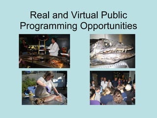 Real and Virtual Public Programming Opportunities 