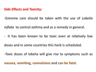 Side Effects and Toxicity:
-Extreme care should be taken with the use of Lobelia
inflata to control asthma and as a remedy in general.
- It has been known to be toxic even at relatively low
doses and in some countries this herb is scheduled.
-Toxic doses of lobelia will give rise to symptoms such as
nausea, vomiting, convulsions and can be fatal.
 