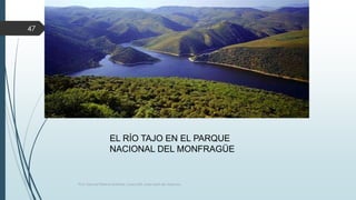 EL RÍO TAJO EN EL PARQUE 
NACIONAL DEL MONFRAGÜE 
47 
Prof. Samuel Perrino Martínez. Liceo XXII, José Martí de Varsovia. 
 