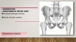 HIP JOINT
• INTRODUCTION
• STRUCTURES OF THE HIP JOINT
Proximal articular surface
Distal articular surface
~PRESENTED BY CHRISLYN
 