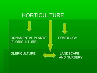 HORTICULTURE



ORNAMENTAL PLANTS   POMOLOGY
(FLORICULTURE)


OLERICULTURE        LANDSCAPE
                    AND NURSERY
 