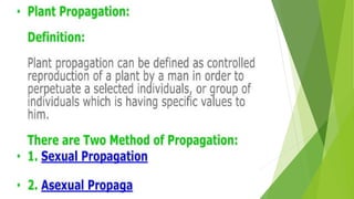 HORTICULTURE-AND-CROP-PRODUCTION-PRESENTATION.pptx