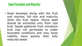 HORTICULTURE-AND-CROP-PRODUCTION-PRESENTATION.pptx