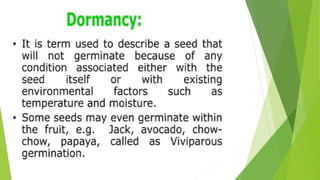 HORTICULTURE-AND-CROP-PRODUCTION-PRESENTATION.pptx