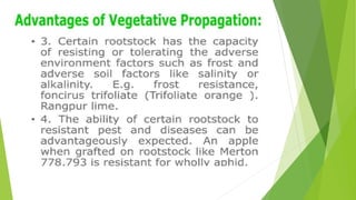 HORTICULTURE-AND-CROP-PRODUCTION-PRESENTATION.pptx