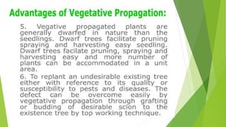 HORTICULTURE-AND-CROP-PRODUCTION-PRESENTATION.pptx