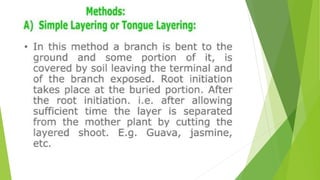 HORTICULTURE-AND-CROP-PRODUCTION-PRESENTATION.pptx