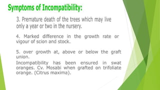 HORTICULTURE-AND-CROP-PRODUCTION-PRESENTATION.pptx