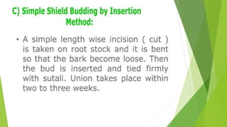 HORTICULTURE-AND-CROP-PRODUCTION-PRESENTATION.pptx