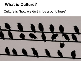 What is Culture?
Culture is “how we do things around here”

 