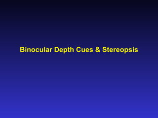 Binocular Depth Cues & Stereopsis 