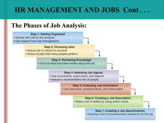 HR MANAGEMENT AND JOBS Cont . . .
The Phases of Job Analysis:
 