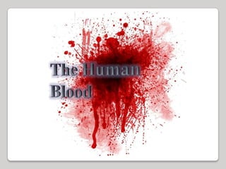 Human blood 1.2