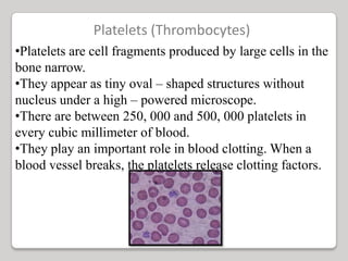 Platelets (Thrombocytes)
•Platelets are cell fragments produced by large cells in the
bone narrow.
•They appear as tiny oval – shaped structures without
nucleus under a high – powered microscope.
•There are between 250, 000 and 500, 000 platelets in
every cubic millimeter of blood.
•They play an important role in blood clotting. When a
blood vessel breaks, the platelets release clotting factors.
 