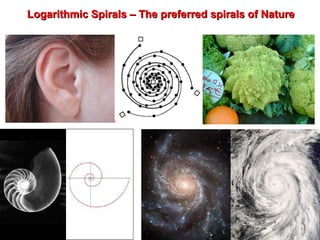 Logarithmic Spirals – The preferred spirals of Nature   