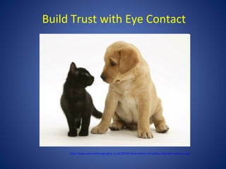 Build Trust with Eye Contact




     http://www.warrenphotographic.co.uk/20749-black-kitten-and-yellow-labrador-retriever-pup
 