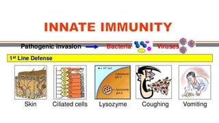 immune system..pptx