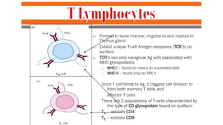 immune system..pptx