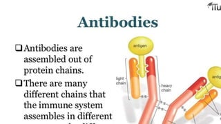 immune system..pptx