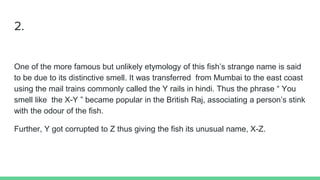 2.
One of the more famous but unlikely etymology of this fish’s strange name is said
to be due to its distinctive smell. It was transferred from Mumbai to the east coast
using the mail trains commonly called the Y rails in hindi. Thus the phrase “ You
smell like the X-Y ” became popular in the British Raj, associating a person’s stink
with the odour of the fish.
Further, Y got corrupted to Z thus giving the fish its unusual name, X-Z.
 