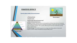 industrilization.pptx