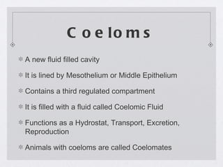 C o e lo m s
A new fluid filled cavity

It is lined by Mesothelium or Middle Epithelium

Contains a third regulated compartment

It is filled with a fluid called Coelomic Fluid

Functions as a Hydrostat, Transport, Excretion,
Reproduction

Animals with coeloms are called Coelomates
 