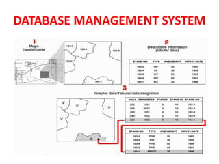 DATABASE MANAGEMENT SYSTEM
 