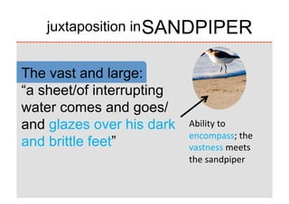 SANDPIPER
   juxtaposition in


The vast and large:
“a sheet/of interrupting
water comes and goes/
and glazes over his dark   Ability	
  to	
  
                           encompass;	
  the	
  
and brittle feet”
         vastness	
  meets	
  
                           the	
  sandpiper
 