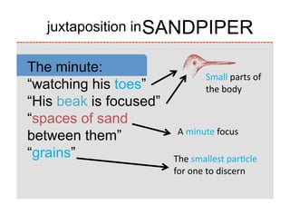 SANDPIPER
   juxtaposition in

The minute:
                                   Small	
  parts	
  of	
  
“watching his toes”                the	
  body
“His beak is focused”
“spaces of sand
                         A	
  minute	
  focus
between them”
“grains”
               The	
  smallest	
  parAcle	
  
                        for	
  one	
  to	
  discern
 