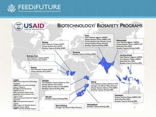 Postharvest Loss Reduction & Mycotoxins programs in USAID’s Feed the Future InitiativeUSAID