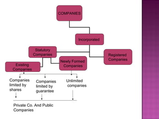 COMPANIES
Incorporated
Statutory
Companies Registered
Companies
Existing
Companies
Newly Formed
Companies
Companies
limited by
shares
Companies
limited by
guarantee
Unlimited
companies
Private Co. And Public
Companies
 