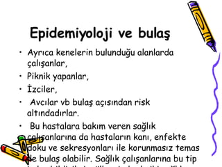 Epidemiyoloji ve bulaş Ayrıca kenelerin bulunduğu alanlarda çalışanlar,  Piknik yapanlar,  İzciler, Avcılar vb bulaş açısından risk altındadırlar. Bu hastalara bakım veren sağlık çalışanlarına da hastaların kanı, enfekte doku ve sekresyonları ile korunmasız temas ile bulaş olabilir. Sağlık çalışanlarına bu tip bulaş bildirilmiş, ülkemizde de iki sağlık personeline bu tip bulaş olmuştur.  