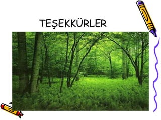 TEŞEKKÜRLER 