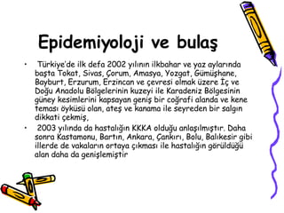 Epidemiyoloji ve bulaş Türkiye’de ilk defa 2002 yılının ilkbahar ve yaz aylarında başta Tokat, Sivas, Çorum, Amasya, Yozgat, Gümüşhane, Bayburt, Erzurum, Erzincan ve çevresi olmak üzere İç ve Doğu Anadolu Bölgelerinin kuzeyi ile Karadeniz Bölgesinin güney kesimlerini kapsayan geniş bir coğrafi alanda ve kene teması öyküsü olan, ateş ve kanama ile seyreden bir salgın dikkati çekmiş, 2003 yılında da hastalığın KKKA olduğu anlaşılmıştır. Daha sonra Kastamonu, Bartın, Ankara, Çankırı, Bolu, Balıkesir gibi illerde de vakaların ortaya çıkması ile hastalığın görüldüğü alan daha da genişlemiştir  