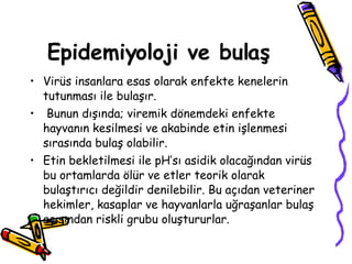 Epidemiyoloji ve bulaş Virüs insanlara esas olarak enfekte kenelerin tutunması ile bulaşır. Bunun dışında; viremik dönemdeki enfekte hayvanın kesilmesi ve akabinde etin işlenmesi sırasında bulaş olabilir.  Etin bekletilmesi ile pH’sı asidik olacağından virüs bu ortamlarda ölür ve etler teorik olarak bulaştırıcı değildir denilebilir. Bu açıdan veteriner hekimler, kasaplar ve hayvanlarla uğraşanlar bulaş açısından riskli grubu oluştururlar.  