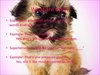 What are they? Superlative adjectives are one syllable  words ending in “est”. Example: That’s a small elf. Yes, that’s the smallest elf I’ve ever met. Superlatives can also be used as “the most ____” Example: That’s one prepared student. Yes, she is the most prepared student. 
