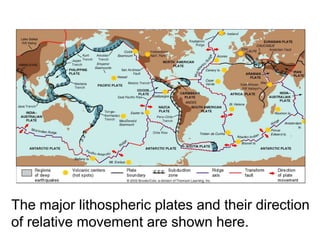 The major lithospheric plates and their direction
of relative movement are shown here.
The Major Lithospheric
Plates
 