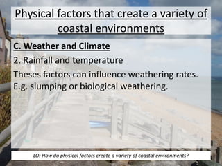 Physical factors that create a variety of 
coastal environments 
C. Weather and Climate 
2. Rainfall and temperature 
Theses factors can influence weathering rates. 
E.g. slumping or biological weathering. 
LO: How do physical factors create a variety of coastal environments? 
 