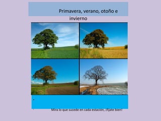 Primavera, verano, otoño e
invierno

•
•

Mira lo que sucede en cada estación, ¡fíjate bien!

 