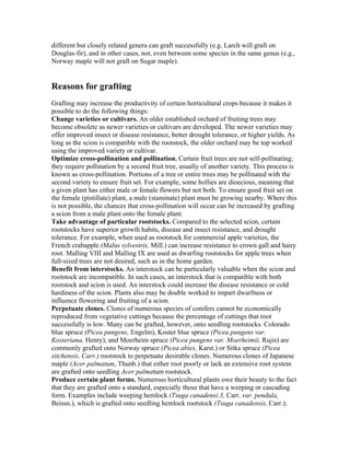different but closely related genera can graft successfully (e.g. Larch will graft on
Douglas-fir), and in other cases, not, even between some species in the same genus (e.g.,
Norway maple will not graft on Sugar maple).
Reasons for grafting
Grafting may increase the productivity of certain horticultural crops because it makes it
possible to do the following things:
Change varieties or cultivars. An older established orchard of fruiting trees may
become obsolete as newer varieties or cultivars are developed. The newer varieties may
offer improved insect or disease resistance, better drought tolerance, or higher yields. As
long as the scion is compatible with the rootstock, the older orchard may be top worked
using the improved variety or cultivar.
Optimize cross-pollination and pollination. Certain fruit trees are not self-pollinating;
they require pollination by a second fruit tree, usually of another variety. This process is
known as cross-pollination. Portions of a tree or entire trees may be pollinated with the
second variety to ensure fruit set. For example, some hollies are dioecious, meaning that
a given plant has either male or female flowers but not both. To ensure good fruit set on
the female (pistillate) plant, a male (staminate) plant must be growing nearby. Where this
is not possible, the chances that cross-pollination will occur can be increased by grafting
a scion from a male plant onto the female plant.
Take advantage of particular rootstocks. Compared to the selected scion, certain
rootstocks have superior growth habits, disease and insect resistance, and drought
tolerance. For example, when used as rootstock for commercial apple varieties, the
French crabapple (Malus sylvestris, Mill.) can increase resistance to crown gall and hairy
root. Malling VIII and Malling IX are used as dwarfing rootstocks for apple trees when
full-sized trees are not desired, such as in the home garden.
Benefit from interstocks. An interstock can be particularly valuable when the scion and
rootstock are incompatible. In such cases, an interstock that is compatible with both
rootstock and scion is used. An interstock could increase the disease resistance or cold
hardiness of the scion. Plants also may be double worked to impart dwarfness or
influence flowering and fruiting of a scion.
Perpetuate clones. Clones of numerous species of conifers cannot be economically
reproduced from vegetative cuttings because the percentage of cuttings that root
successfully is low. Many can be grafted, however, onto seedling rootstocks. Colorado
blue spruce (Picea pungens, Engelm), Koster blue spruce (Picea pungens var.
Kosteriana, Henry), and Moerheim spruce (Picea pungens var. Moerheimii, Rujis) are
commonly grafted onto Norway spruce (Picea abies, Karst.) or Sitka spruce (Picea
sitchensis, Carr.) rootstock to perpetuate desirable clones. Numerous clones of Japanese
maple (Acer palmatum, Thunb.) that either root poorly or lack an extensive root system
are grafted onto seedling Acer palmatum rootstock.
Produce certain plant forms. Numerous horticultural plants owe their beauty to the fact
that they are grafted onto a standard, especially those that have a weeping or cascading
form. Examples include weeping hemlock (Tsuga canadensi.3, Carr. var. pendula,
Beissn.), which is grafted onto seedling hemlock rootstock (Tsuga canadensis, Carr.);
 