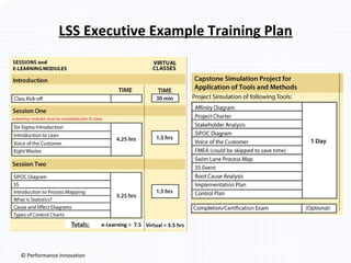 LSS Executive Example Training Plan

© Performance Innovation

 