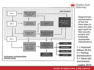 Diagrammatic 
representation 
of how the 
three steps to 
close the yield 
gap impact on 
food security, 
poverty and 
livelihoods 
(sustainable 
intensification) 
1 = Improved 
fallows (N fix) 
2 = Particip 
domestication 
3 = Value add 
and process 
Leakey 2014 
SCHOOL OF AGRICULTURAL & WINE SCIENCES 
